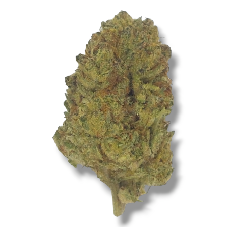 Gelato Top-Shelf High THCa Flower