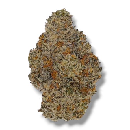 Northern Lights Top-Shelf High THCa Flower
