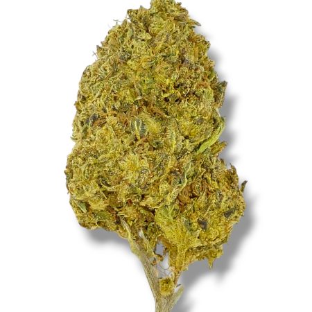 Gorilla Glue 4 Top-Shelf High THCa Flower