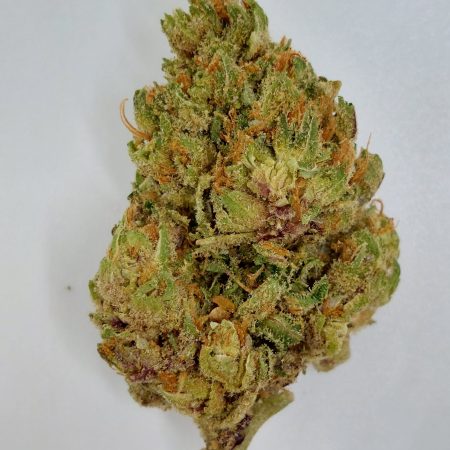 Sunset Fritter Indoor Top-Shelf High THCa Flower