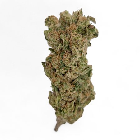 GRAPE SUNDAE THCA FLOWER FROM OILWELL CANNABIS OF HOUSTON, TX