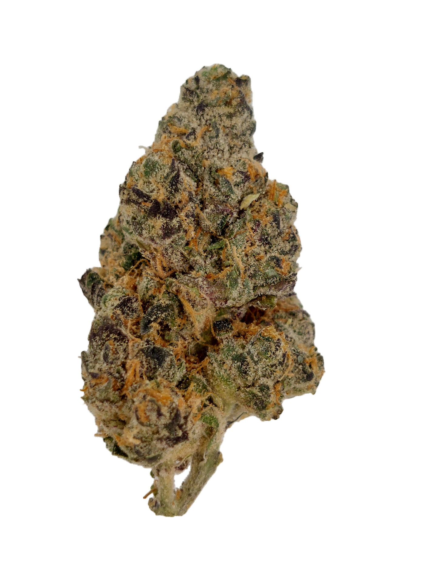 Cotton Candy exotic THCA flower macro — OilWell Cannabis Houston, same-day delivery