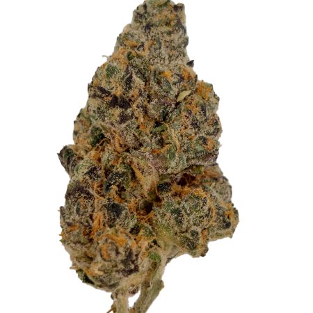 Cotton Candy indoor top-shelf THCa flower Houston same-day delivery, frosty violet-shadowed bud