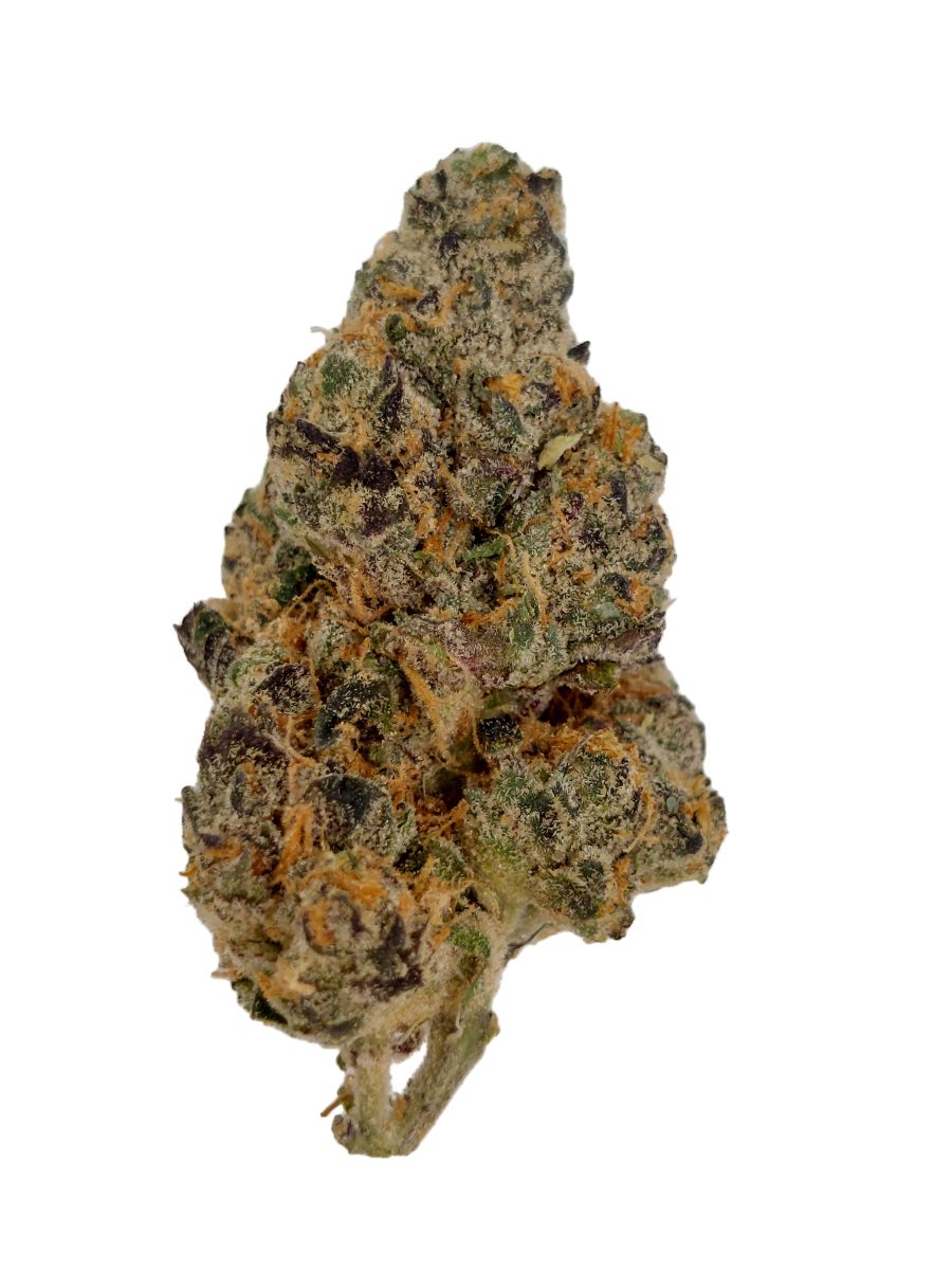 Cotton Candy indoor top-shelf THCa flower Houston same-day delivery, frosty violet-shadowed bud