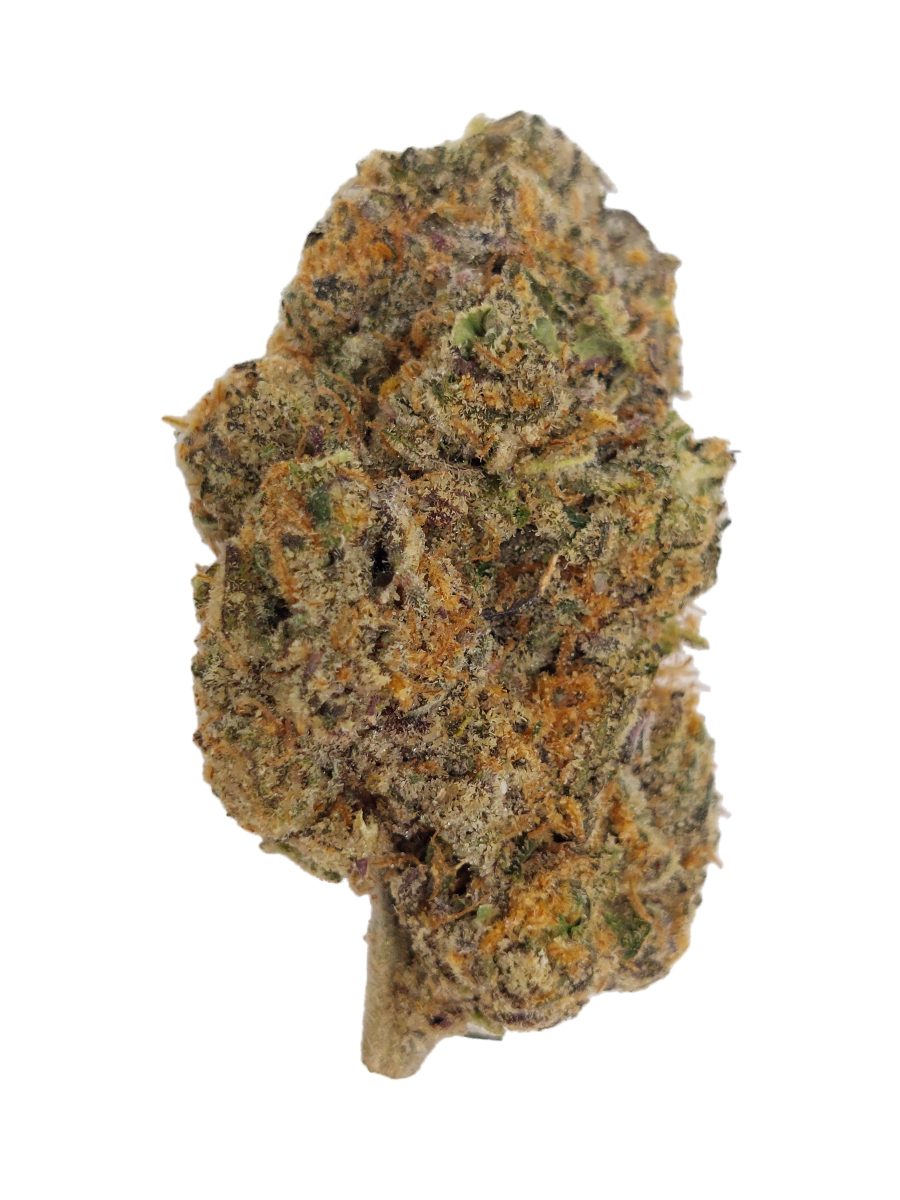 Sherbanger THCa flower Houston same-day delivery, dense purple-and-green indoor top-shelf hemp bud with frosty trichomes