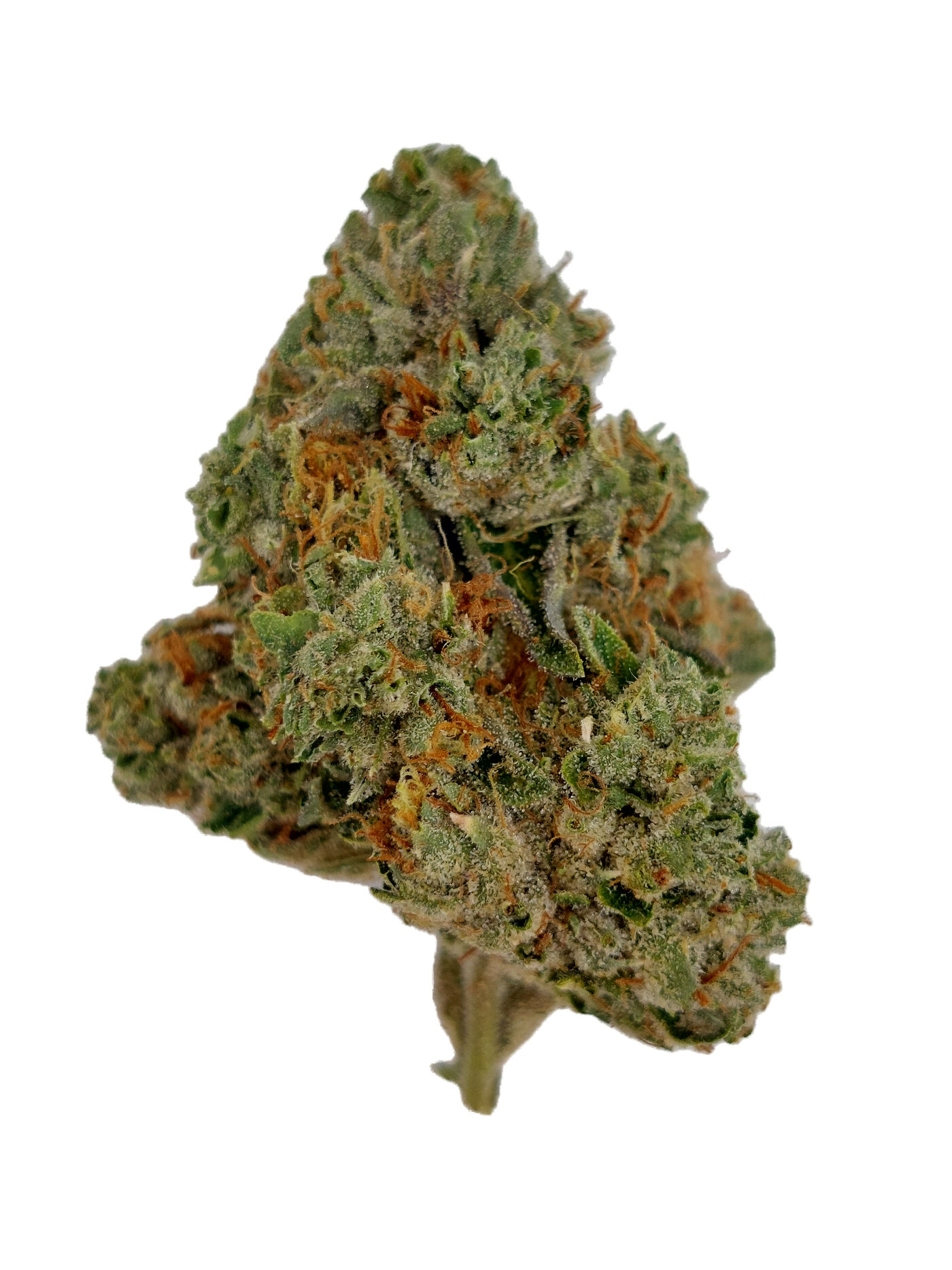 Skywalker OG exotic THCA flower macro — OilWell Cannabis Houston, same-day delivery